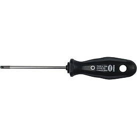   ŠROUBOVÁK TORX 6x50mm Profi