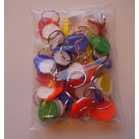   PŘÍVĚSEK žeton barevný  [25]